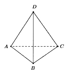 Đề thi học kì 1 Toán 8 Chân trời sáng tạo (Đề 4)