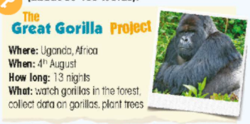 Sách bài tập Right on 8 Skill practice B