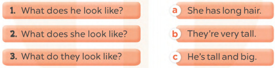 Sách bài tập tiếng Anh lớp 4 unit 13 Global success