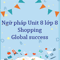 Ngữ pháp Unit 8 lớp 8 Shopping Global success