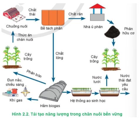 Công nghệ 11 Cánh diều bài 2