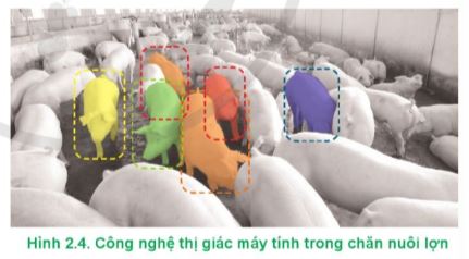 Công nghệ 11 Cánh diều bài 2