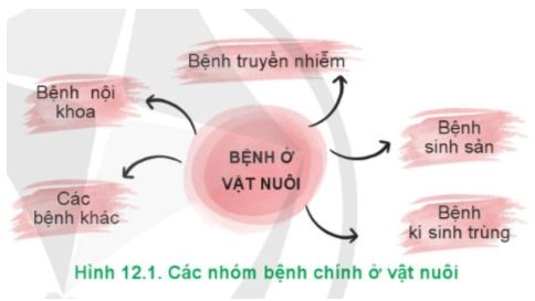 Công nghệ 11 Cánh diều bài 12