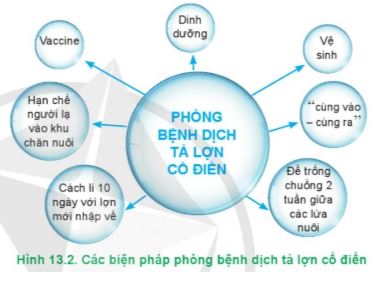 Công nghệ 11 Cánh diều bài 13