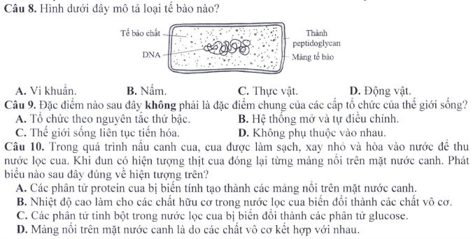 Đề minh họa thi THPT Quốc gia môn Sinh học
