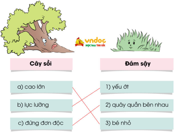 Ôn tập cuối học kì 1 - Tiết 2 Cánh Diều