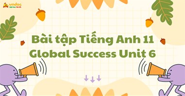 Bài tập Tiếng Anh 11 Global Success Unit 6
