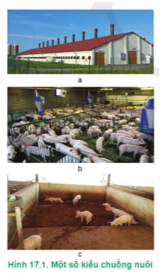 Công nghệ 11 Cánh diều bài 17