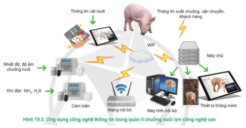 Công nghệ 11 Cánh diều bài 19