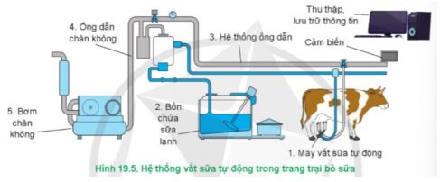 Công nghệ 11 Cánh diều bài 19
