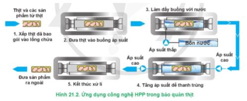 Công nghệ 11 Cánh diều bài 21