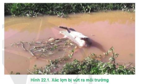 Công nghệ 11 Cánh diều bài 22