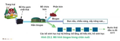 Công nghệ 11 Cánh diều bài 23