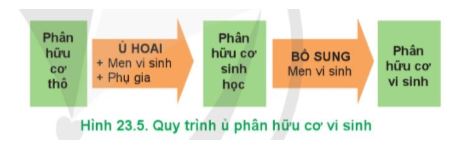 Công nghệ 11 Cánh diều bài 23