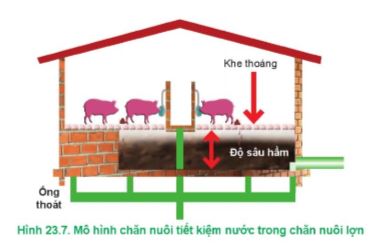 Công nghệ 11 Cánh diều bài 23