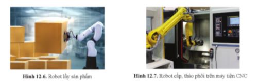 Công nghệ 11 Cánh diều bài 12