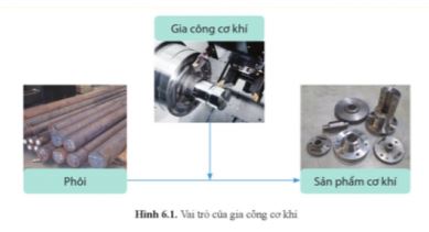 Công nghệ 11 Cánh diều bài 6