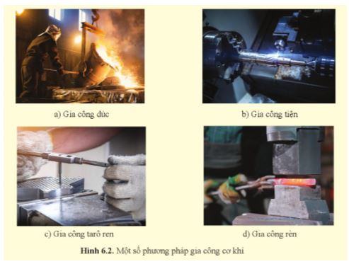 Công nghệ 11 Cánh diều bài 6