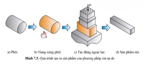 Công nghệ 11 Cánh diều bài 7