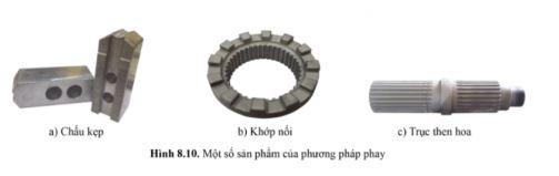 Công nghệ 11 Cánh diều bài 8