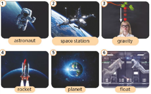 Tiếng Anh 8 Unit 6 6a Reading trang 82 83