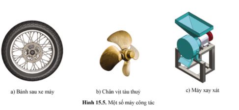 Công nghệ 11 Cánh diều bài 15