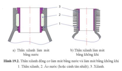 Công nghệ 11 Cánh diều bài 19