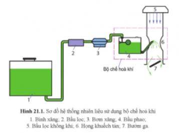 Công nghệ 11 Cánh diều bài 21