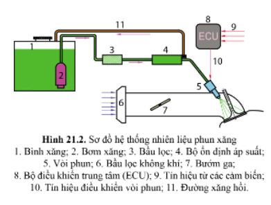 Công nghệ 11 Cánh diều bài 21
