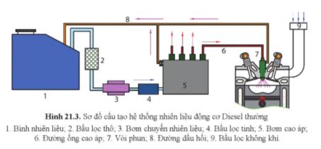 Công nghệ 11 Cánh diều bài 21