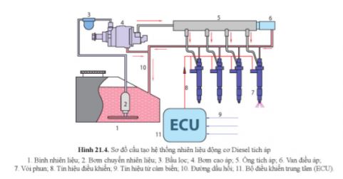 Công nghệ 11 Cánh diều bài 21
