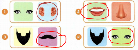 Sách bài tập tiếng Anh 4 unit 6 lesson 2 i Learn Smart Start