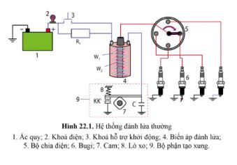 Công nghệ 11 Cánh diều bài 22