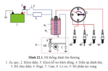 Công nghệ 11 Cánh diều bài 22