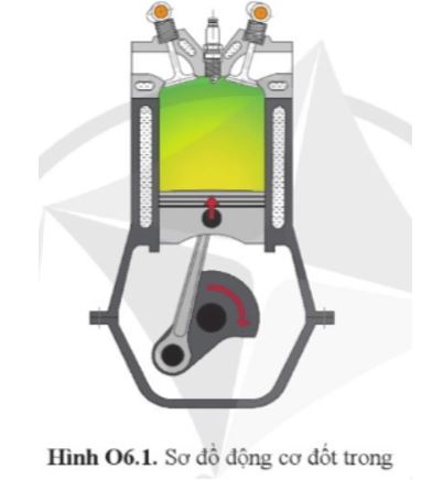 Công nghệ 11 Cánh diều bài Ôn tập chủ đề 5 và chủ đề 6