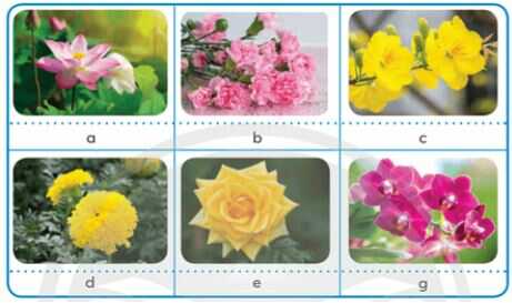 Khám phá trang 7 SGK Công nghệ 4