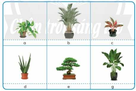 Khám phá trang 7 SGK Công nghệ 4