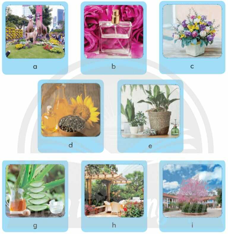 Khám phá trang 10 SGK Công nghệ 4