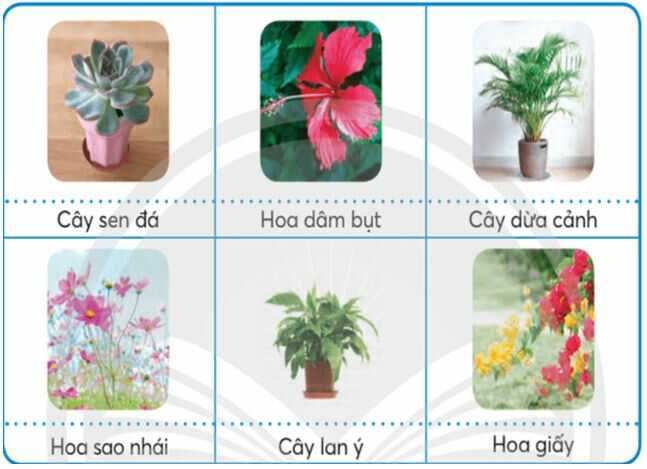 Luyện tập 2 trang 12 SGK Công nghệ 4