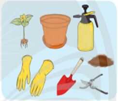 Khám phá trang 21 SGK Công nghệ 4