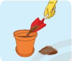 Khám phá trang 21 SGK Công nghệ 4