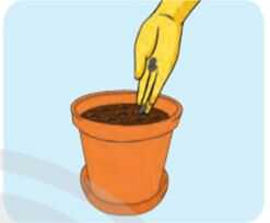 Khám phá trang 21 SGK Công nghệ 4