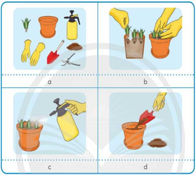 Khám phá trang 32 SGK Công nghệ 4