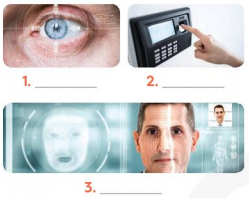 Tiếng Anh 8 unit 11 Skills 1 trang 120, 121 Global success