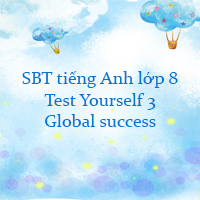 Sách bài tập tiếng Anh lớp 8 Test Yourself 3 Global success