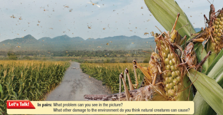 Tiếng Anh 11 Smart World Unit 7 Lesson 1