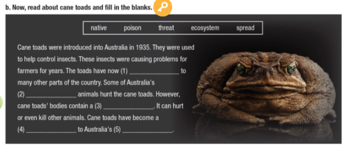 Tiếng Anh 11 i-Learn Smart World Workbook Unit 7 Lesson 1