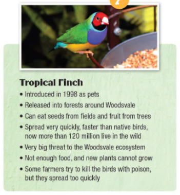 Tiếng Anh 11 i-Learn Smart World Workbook Unit 7 Lesson 1