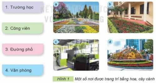 Giải SGK Công nghệ lớp 4 KNTT Bài 1: Lợi ích của hoa, cây cảnh đối với đời sống