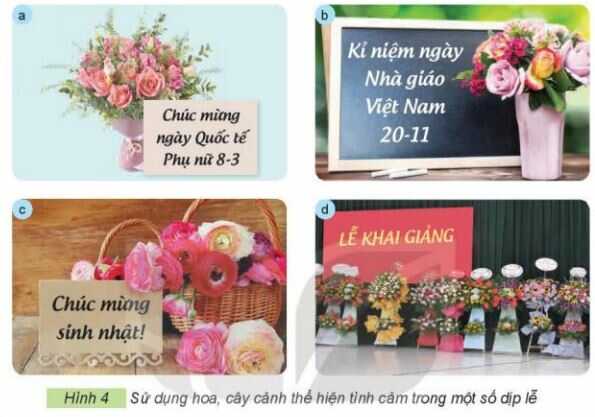 Khám phá trang 10 SGK Công nghệ 4